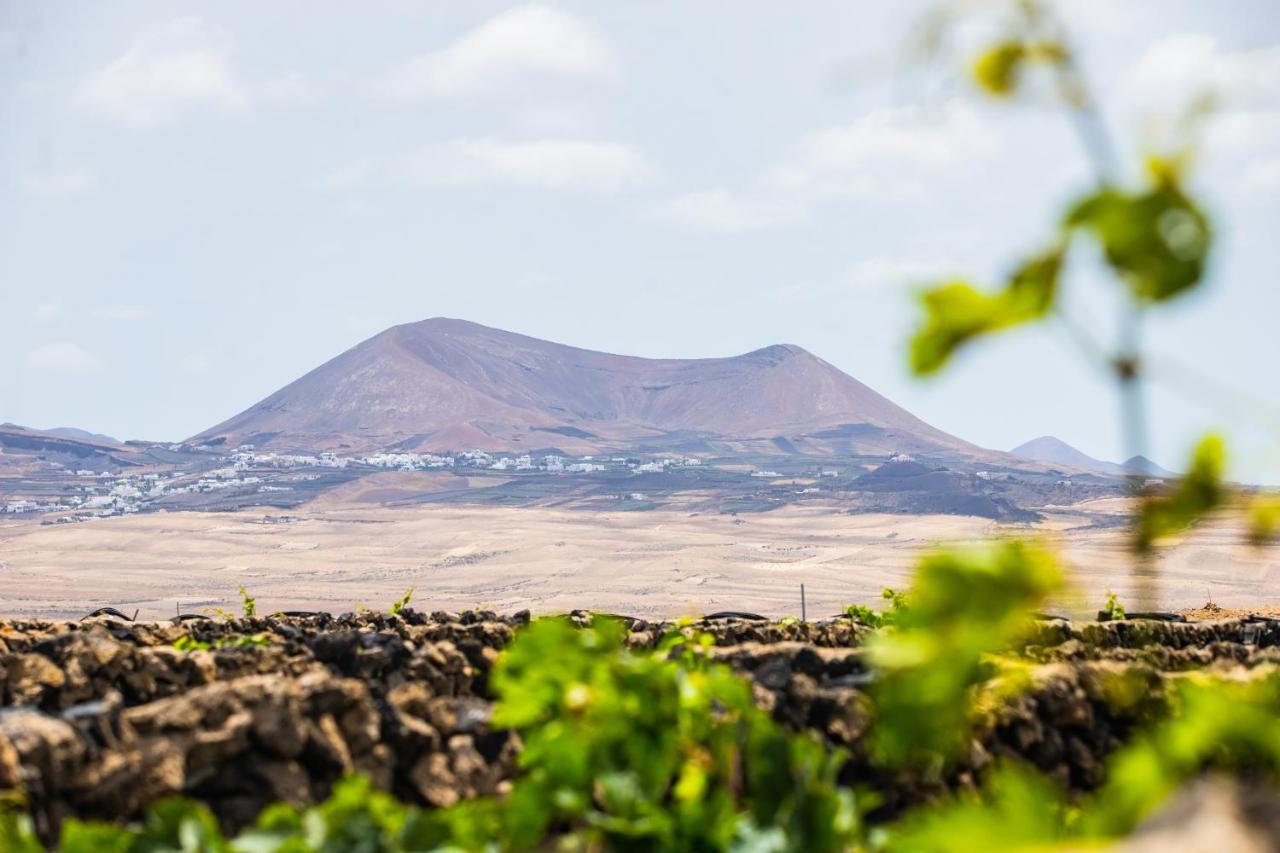 מלון טגיסי Eslanzarote Eco Dome Experience מראה חיצוני תמונה