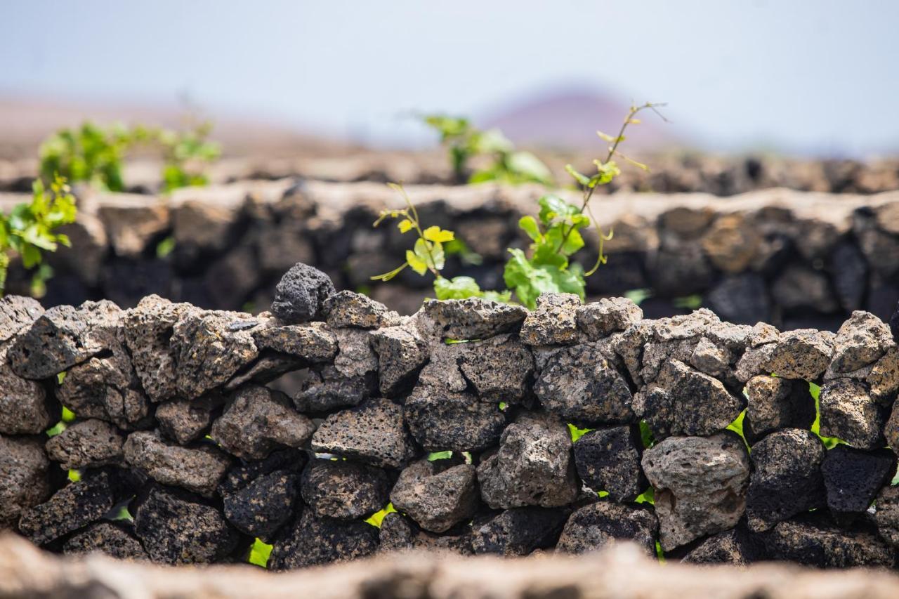 מלון טגיסי Eslanzarote Eco Dome Experience מראה חיצוני תמונה