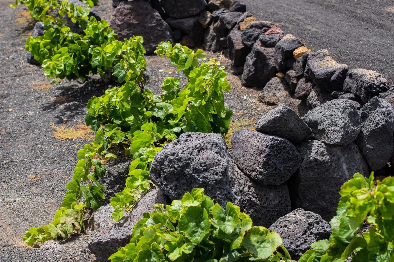 מלון טגיסי Eslanzarote Eco Dome Experience מראה חיצוני תמונה